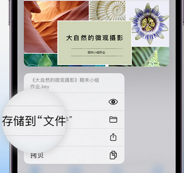 崇义apple维修中心分享iPhone文件应用中存储和找到下载文件