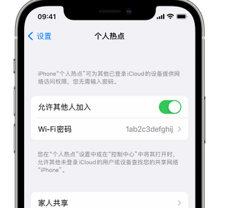 崇义apple服务站点分享iPhone上个人热点丢失了怎么办 