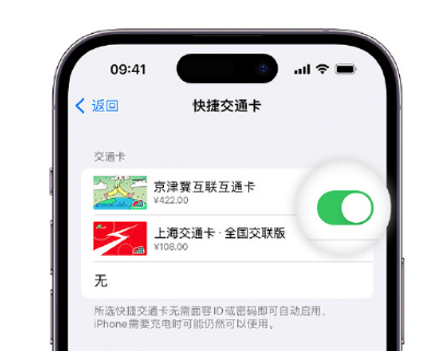 崇义apple维修点分享iPhone上更换Apple Pay快捷交通卡手绘卡面 