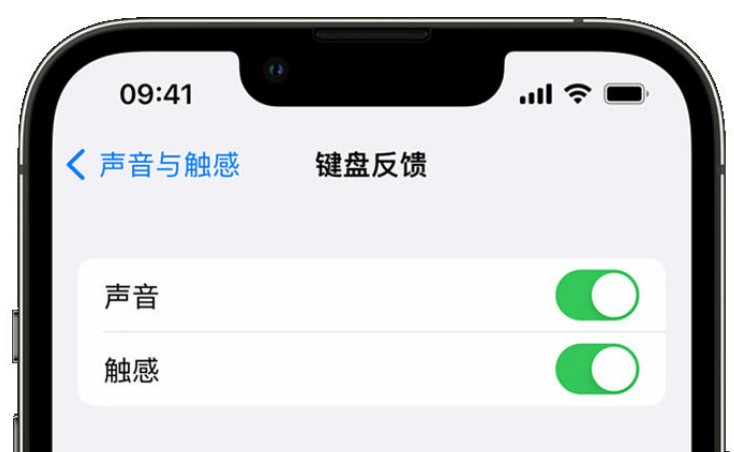 崇义苹果手机维修分享iPhone 14触感键盘使用方法 