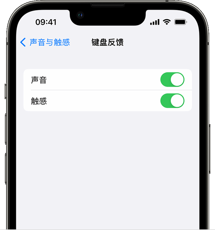 崇义苹果14维修店分享如何在 iPhone 14 机型中使用触感键盘 