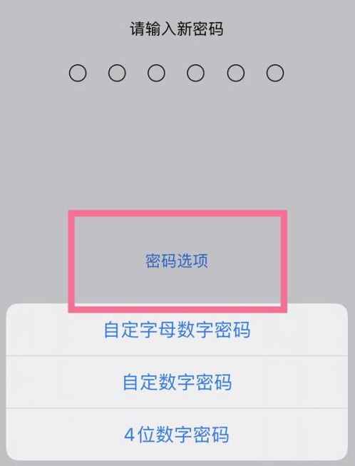 崇义苹果14维修分享iPhone 14plus设置密码的方法 