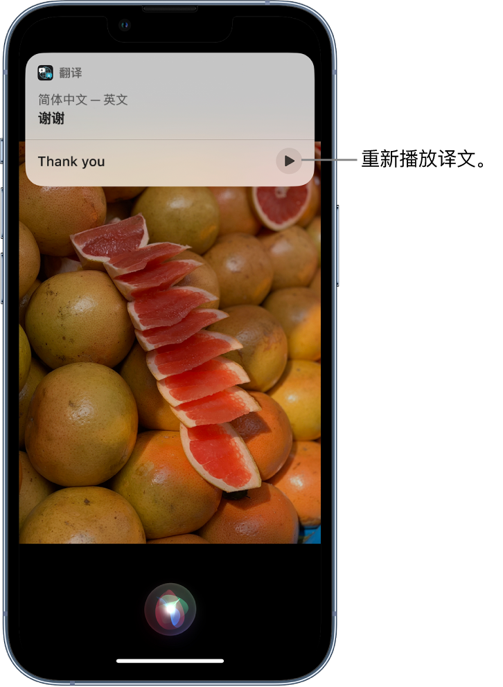 崇义苹果14维修分享 iPhone 14 机型中使用 Siri：了解 Siri 能帮你做什么 