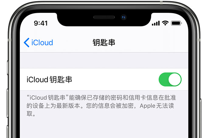 崇义苹果手机维修分享在 iPhone 上开启 iCloud 钥匙串之后会储存哪些信息 